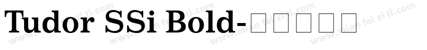 Tudor SSi Bold字体转换